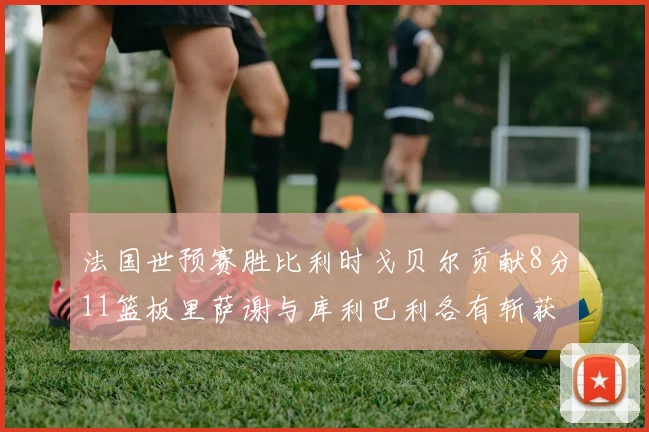 法国世预赛胜比利时戈贝尔贡献8分11篮板里萨谢与库利巴利各有斩获