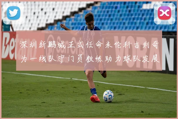 深圳新鹏城正式任命米伦科吉利奇为一线队守门员教练助力球队发展