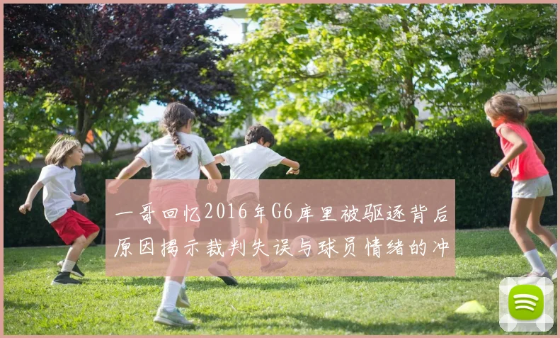 一哥回忆2016年G6库里被驱逐背后原因揭示裁判失误与球员情绪的冲突